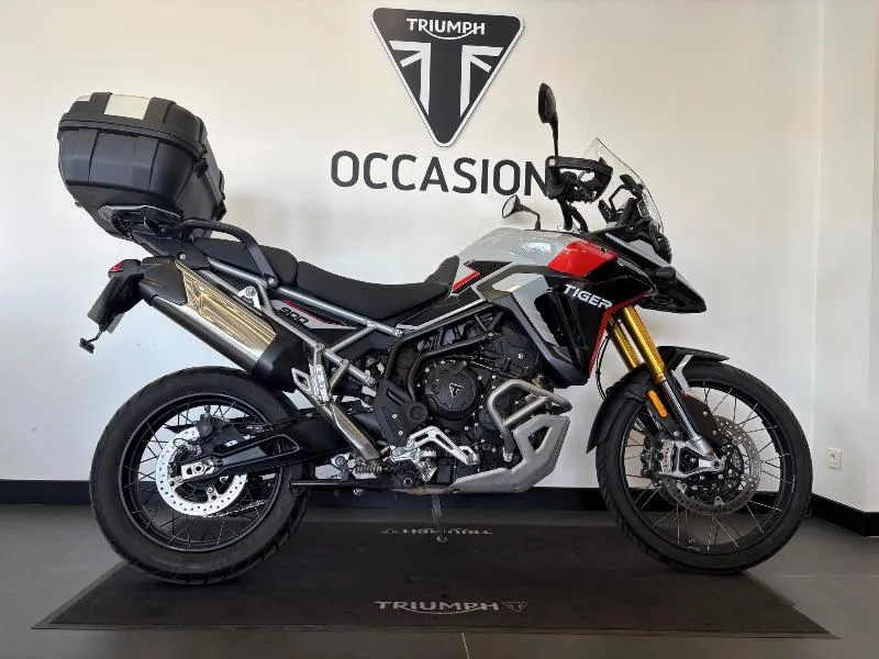 TIGER 900 RALLY PRO