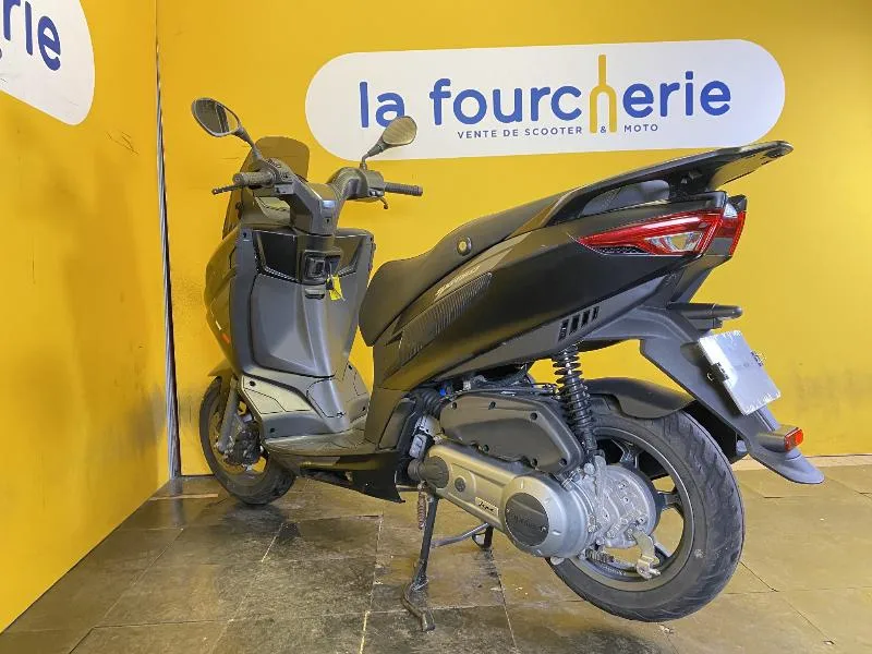 SXR 50