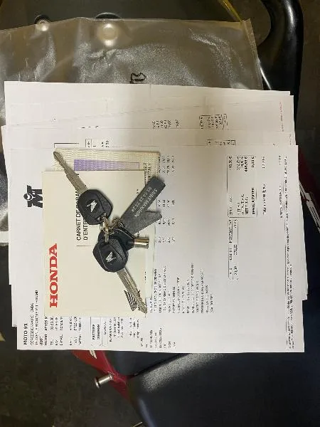 CBF 600 S