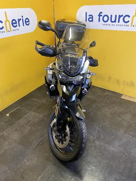 Tiger 900 GT PRO