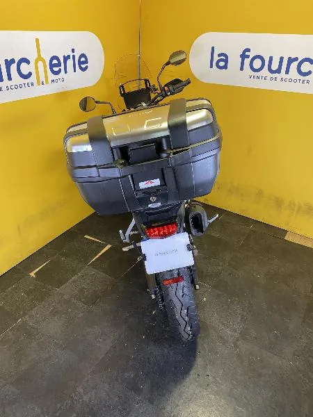Tiger 900 GT PRO
