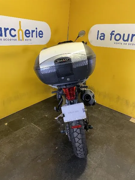 TIGER 800 ABS