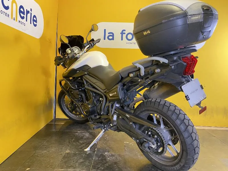 TIGER 800 ABS