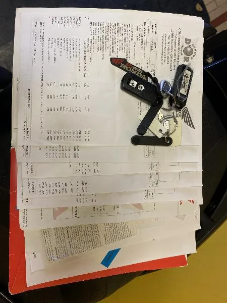NSS FORZA 300