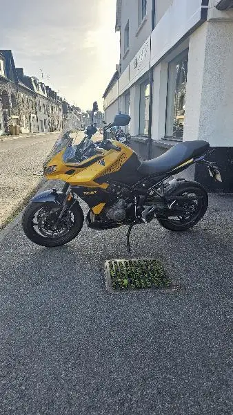 TIGER SPORT 800