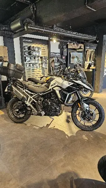 Tiger 900 GT PRO