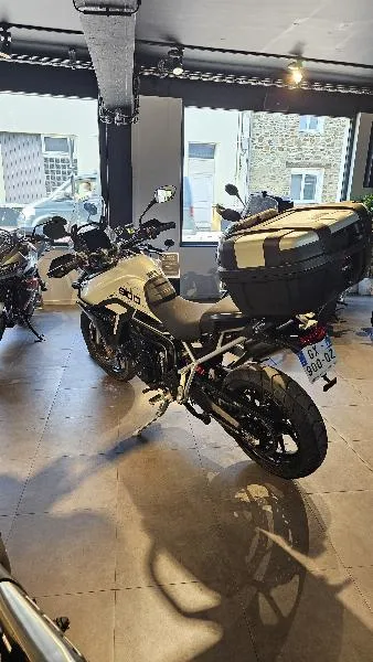Tiger 900 GT PRO