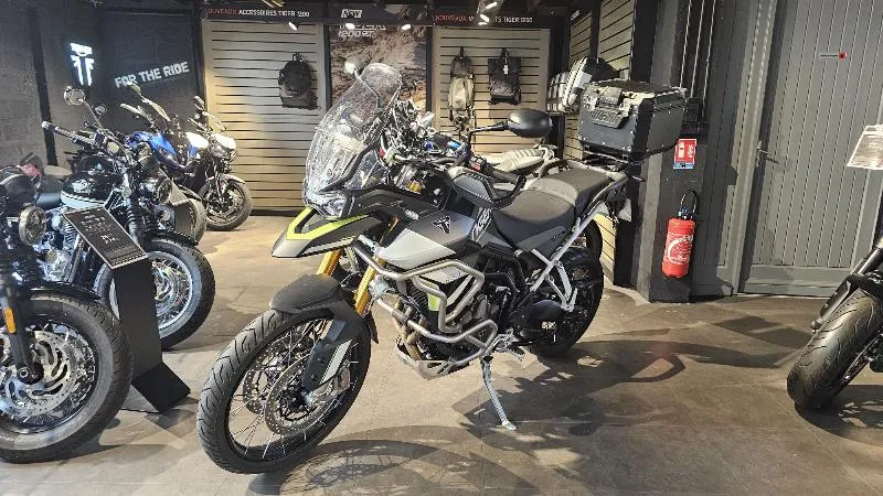 Tiger 900 Rally Aragon Edition
