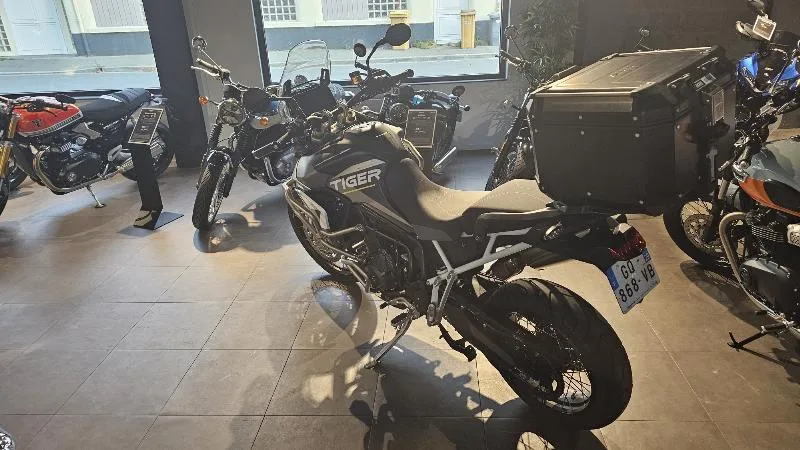 Tiger 900 Rally Aragon Edition