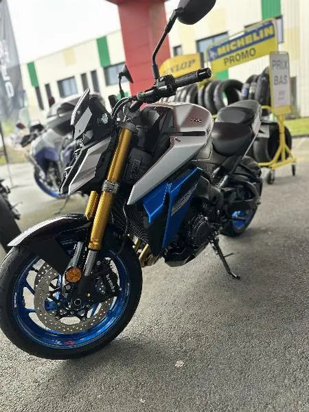 GSXS 1000