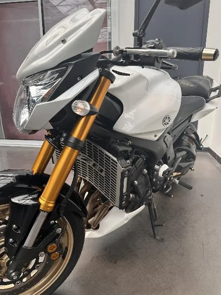 FZ8