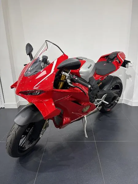 paniogale v4 r
