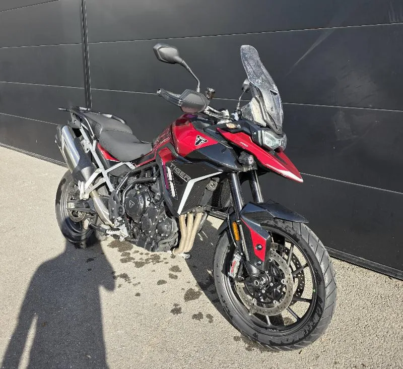 Tiger 900 GT Pro A2