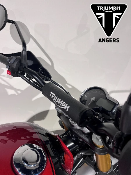 Scrambler 400 X