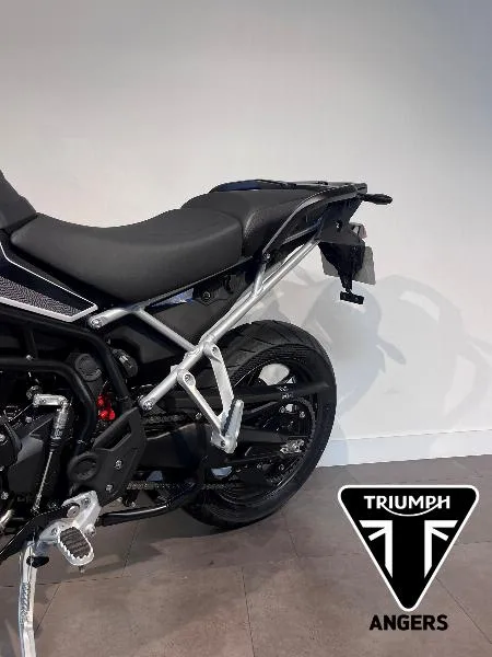 Tiger 900 Alpine Edition