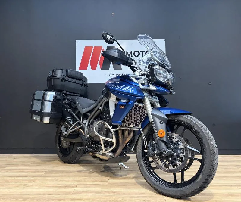 TIGER 800 XRT
