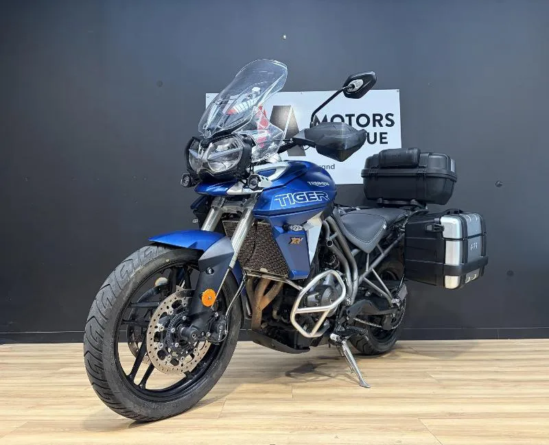 TIGER 800 XRT