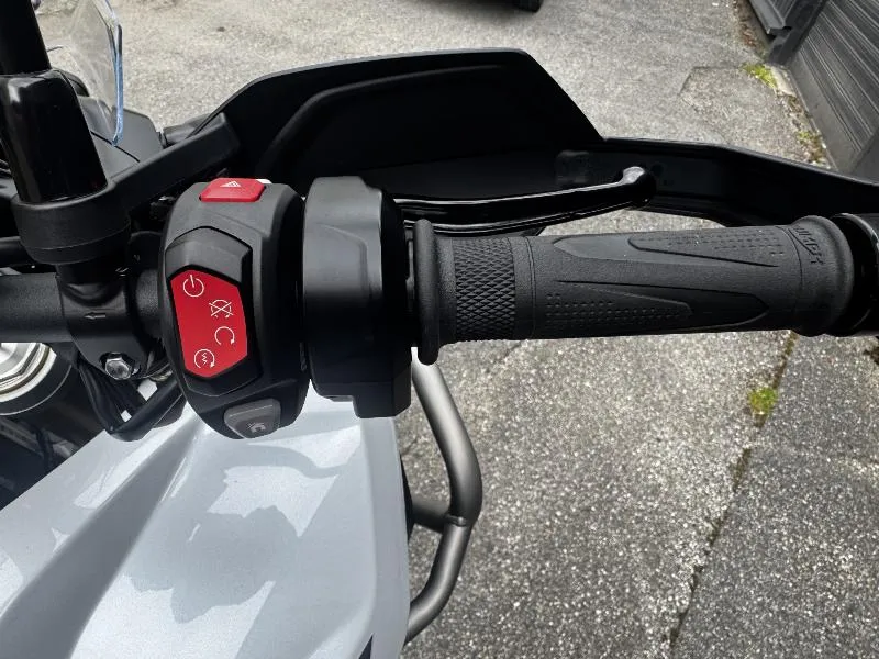 TIGER 1200 RALLY PRO