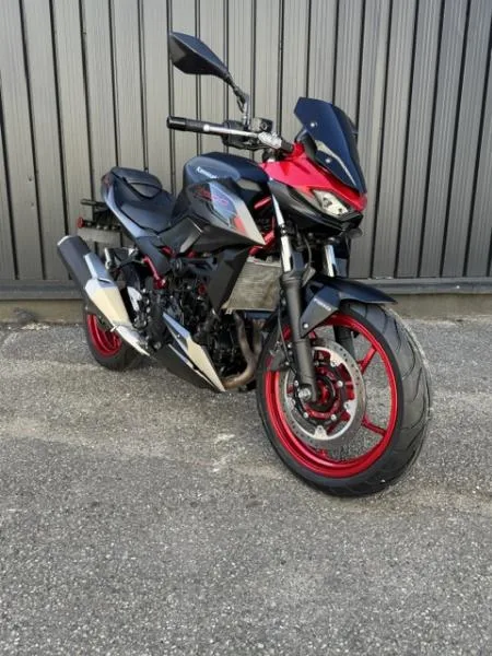 Z 500