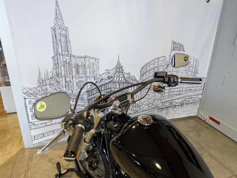 SOFTAIL STANDARD 1745