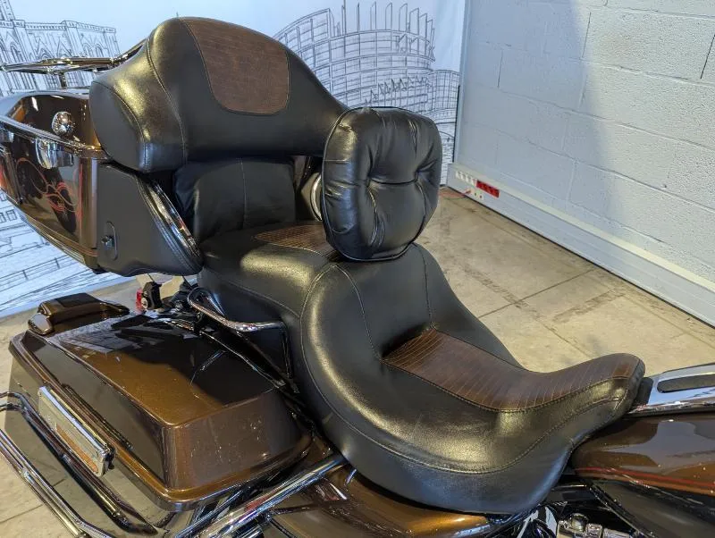 TOURING ELECTRA GLIDE 1690 ULTRA LIMITED 110th