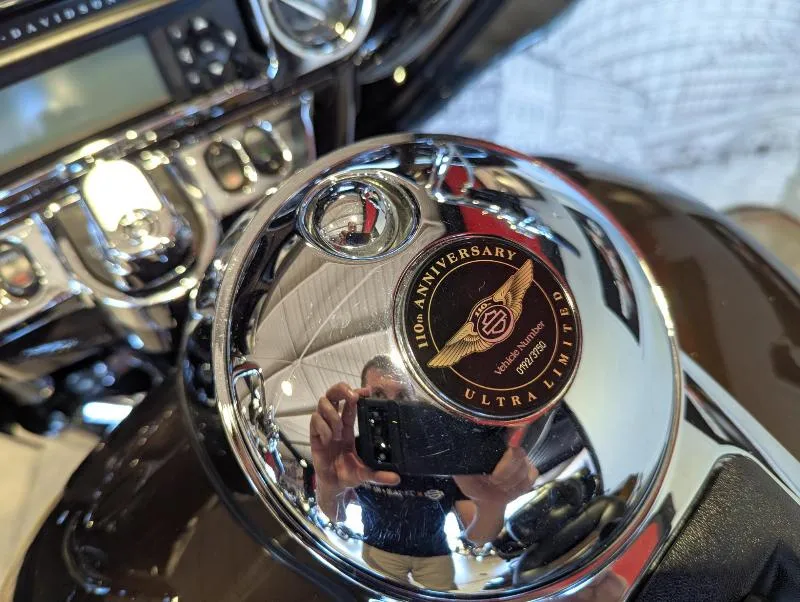 TOURING ELECTRA GLIDE 1690 ULTRA LIMITED 110th