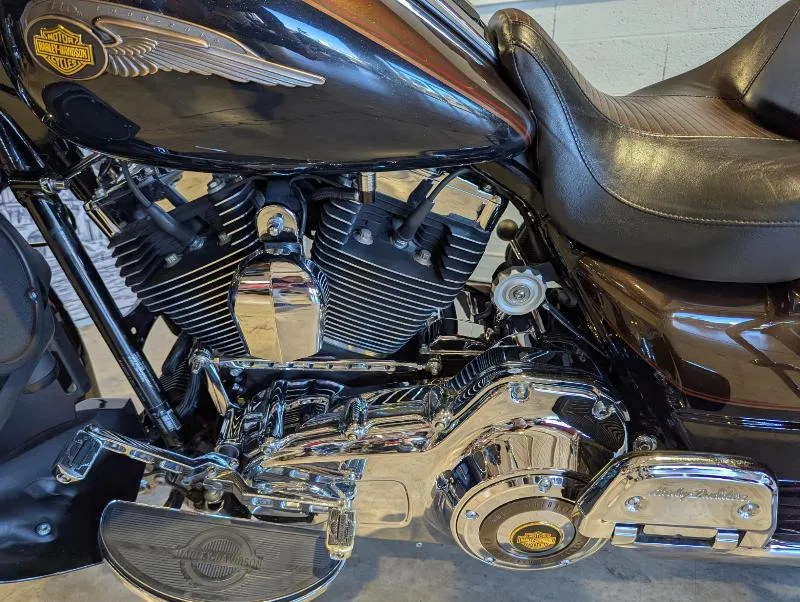 TOURING ELECTRA GLIDE 1690 ULTRA LIMITED 110th
