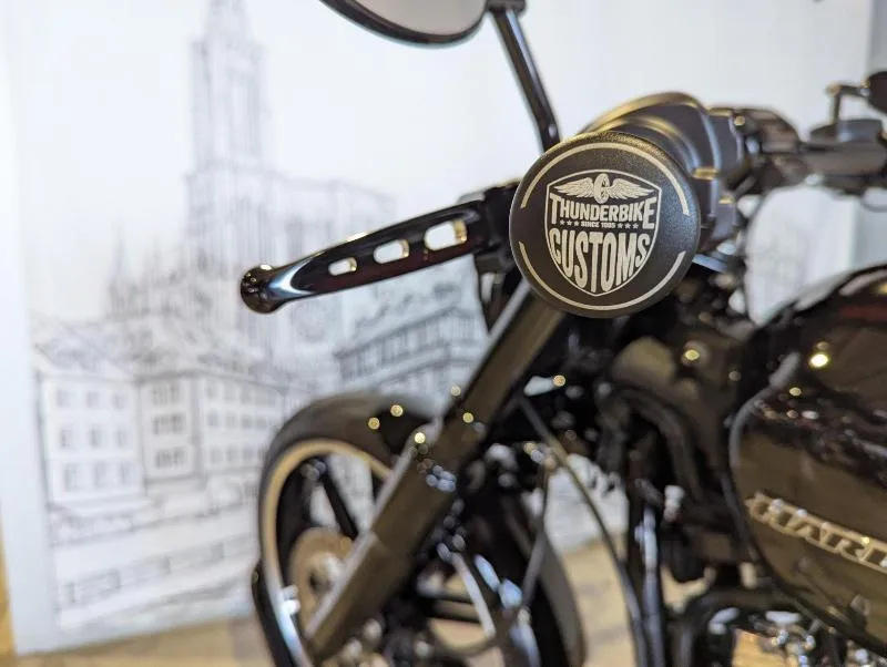 SOFTAIL BREAKOUT 1868