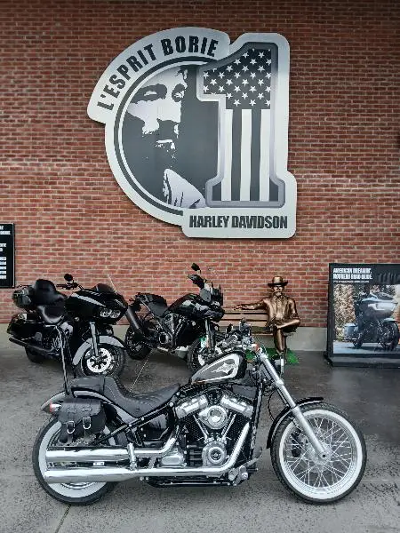 SOFTAIL STANDARD 1745 2022