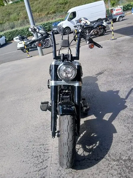 SOFTAIL SLIM 1745