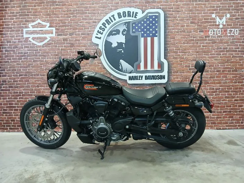 SPORTSTER NIGHTSTER 975 SPECIAL