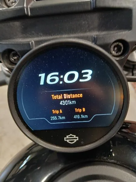 SPORTSTER NIGHTSTER 975 SPECIAL