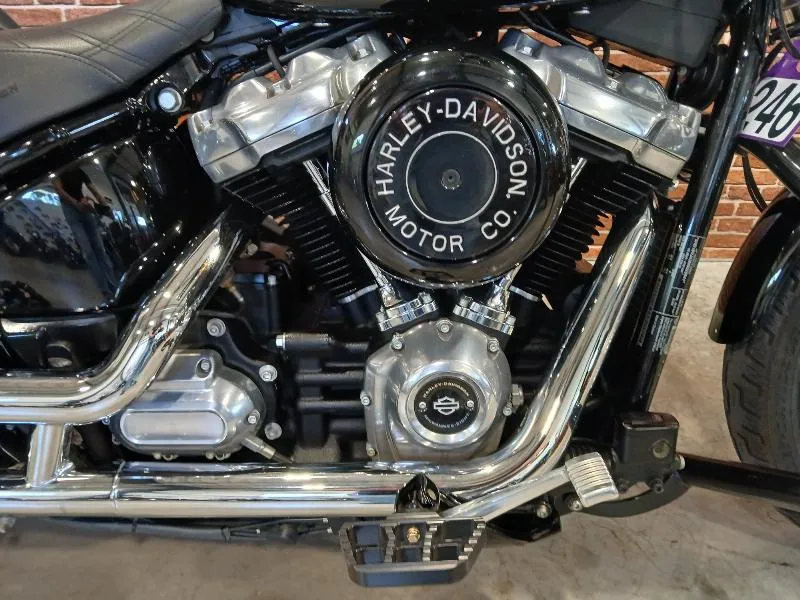 SOFTAIL STANDARD 1745
