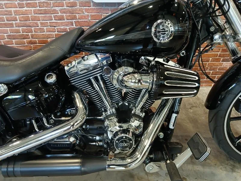 SOFTAIL BREAKOUT 1690