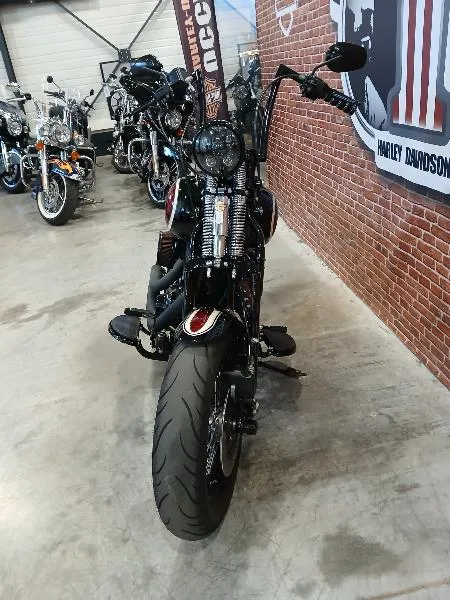 SOFTAIL SPRINGER 1584 CROSS BONES