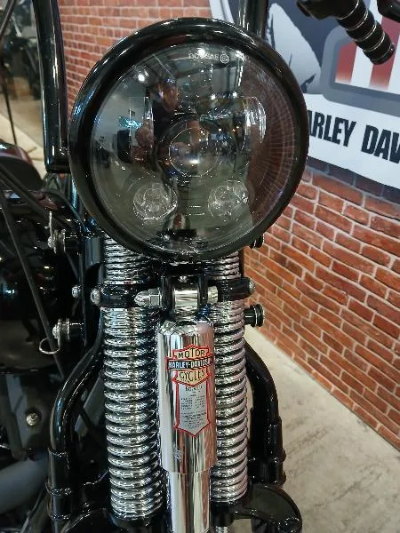SOFTAIL SPRINGER 1584 CROSS BONES