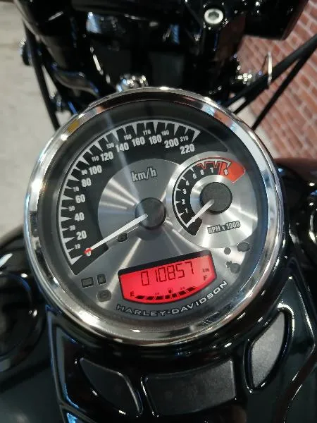 SOFTAIL SPRINGER 1584 CROSS BONES