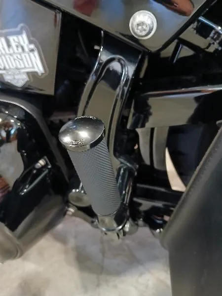 SOFTAIL SPRINGER 1584 CROSS BONES