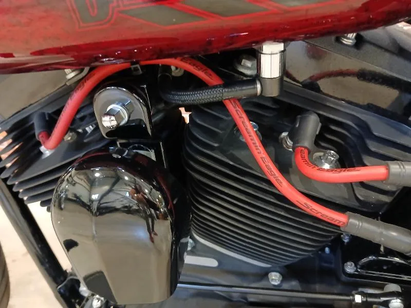 SOFTAIL SPRINGER 1584 CROSS BONES