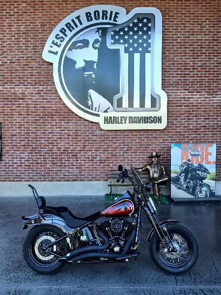 SOFTAIL SPRINGER 1584 CROSS BONES