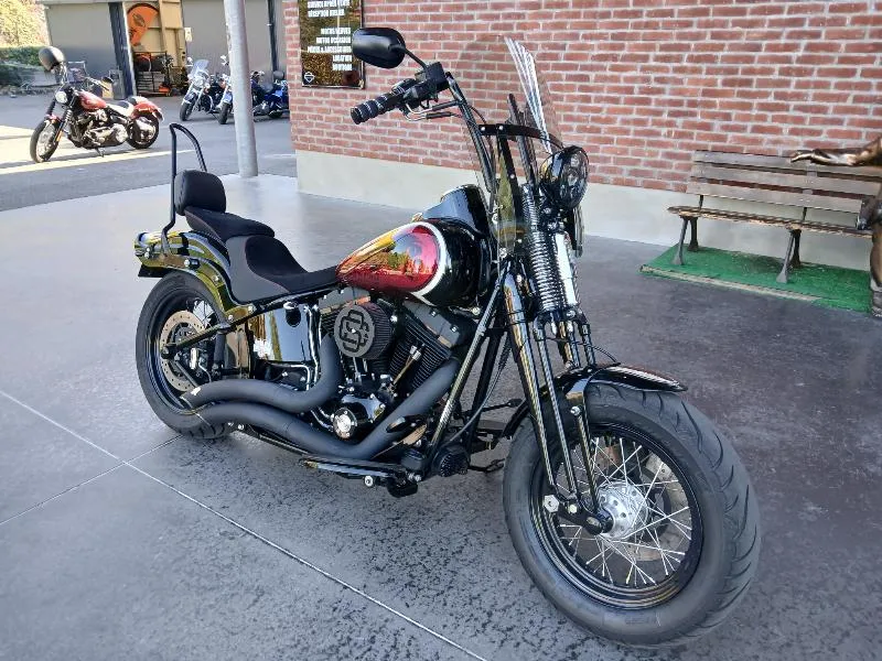 SOFTAIL SPRINGER 1584 CROSS BONES
