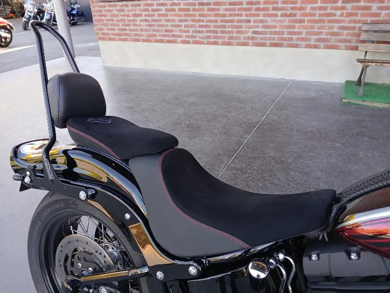 SOFTAIL SPRINGER 1584 CROSS BONES