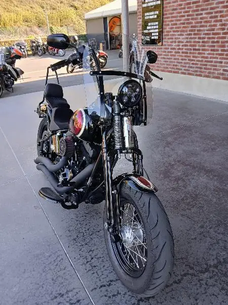 SOFTAIL SPRINGER 1584 CROSS BONES
