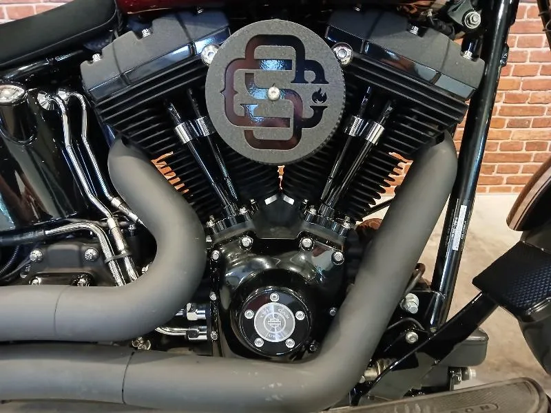 SOFTAIL SPRINGER 1584 CROSS BONES