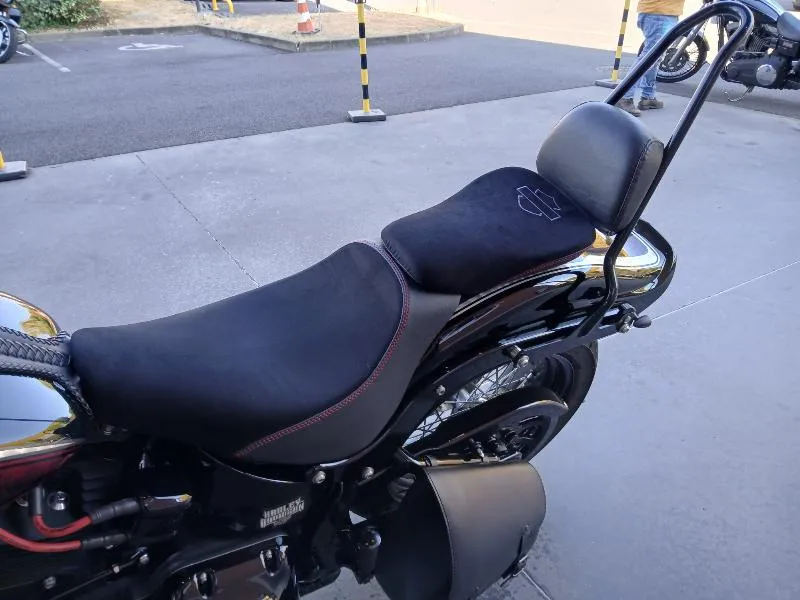 SOFTAIL SPRINGER 1584 CROSS BONES