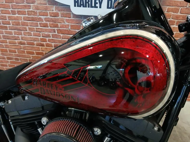 SOFTAIL SPRINGER 1584 CROSS BONES