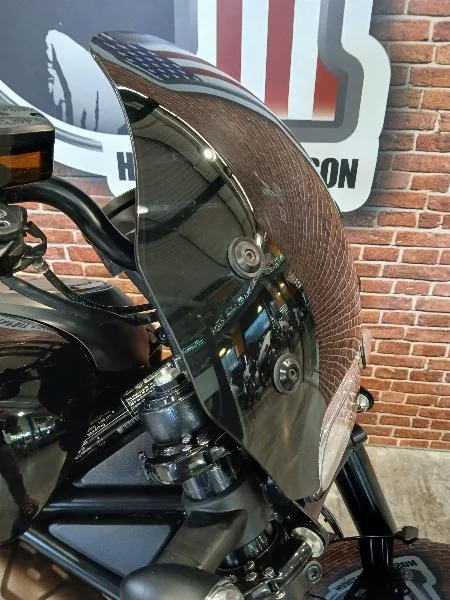 SPORTSTER 1250 S