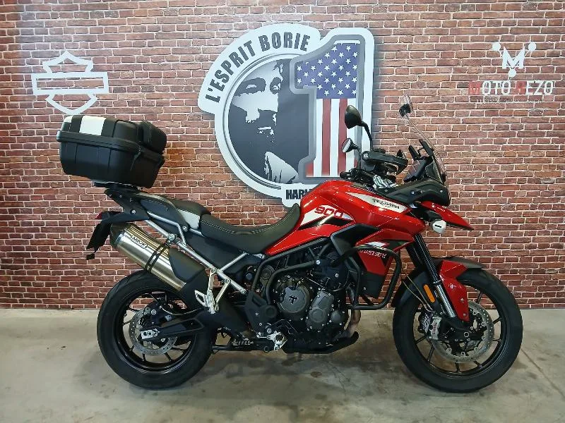 Tiger 900 GT PRO