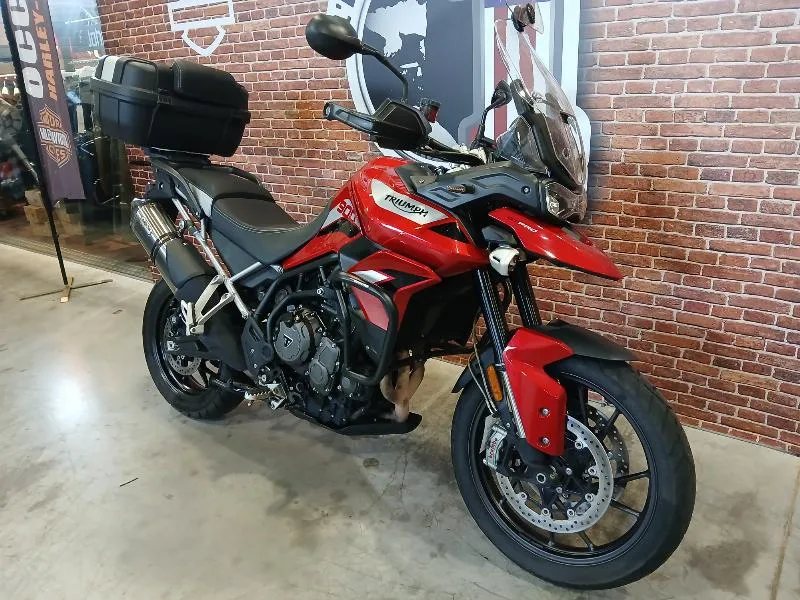 Tiger 900 GT PRO