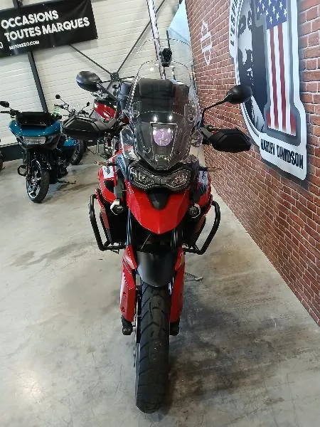 Tiger 900 GT PRO